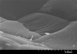 1183.160219.141542_copper-foam-with-graphene-zoom-in-small