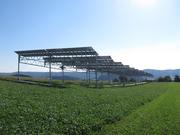 The agrophotovoltaics (APV) pilot plant located in Heggelbach near Lake Constance couples the production of electricity and food crops ©Fraunhofer ISE