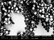 Electron microscope image of nanoscale Janus particles, which the Freigeist-group is going to test regarding their capacity as photocatalytic nanomotors. Juliane Simmchen