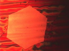 Visible to the naked eye: A wafer-thin graphene flake obtained via chemical vapor deposition. The red coloration of the copper substrate appears when the sample is heated in air. (Photo: J. Kraus/ TUM)
