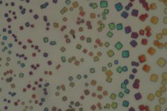 Superlattices under the microscope (white light illumination). Empa