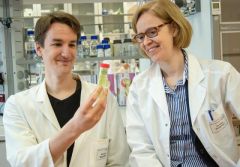 Is the "biological bandage" coming soon? A team of researchers at the University of Bremen led by Dorothea Brüggemann and Karsten Stapelfeldt has now created a fibrinogen network. Kai Uwe Bohn / University of Bremen