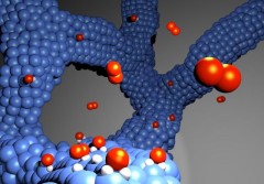 The new electrocatalyst for hydrogen fuel cells consists of a thin platinum-cobalt alloy network and, unlike the catalysts commonly used today, does not require a carbon carrier. Gustav Sievers