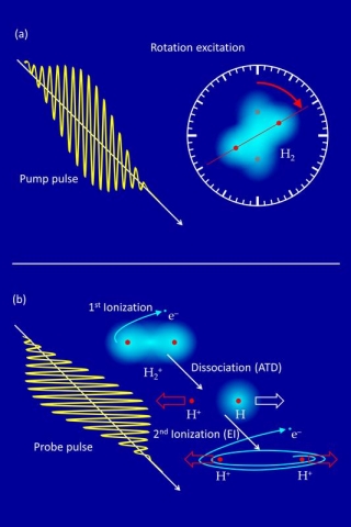 Fig. 1: (a) Rotational excitation of H2 in the pump pulse: starting the "internal clock". (b) The two possible mechanisms of molecular cleavage (ATD and EI) in the probe pulse and detection of the fragments. MPIK